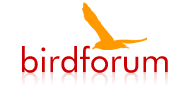 birdforum